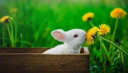 爱游戏手机版-中国足球国际合作不断深化，推动青训输出与交流，中国足球青训体系是什么