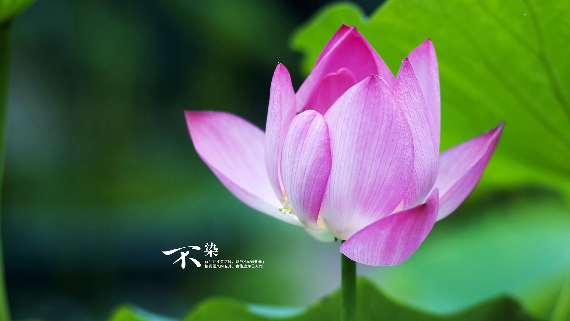 爱游戏体育（AYX）官方APP下载-【青训探索】少年运动员顿悟：攻守搭配的系统训练课程，青少年运动员训练指南