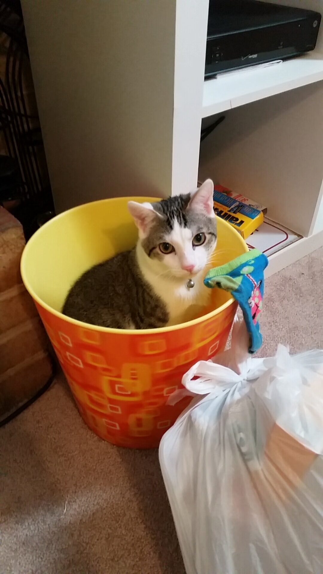 巅峰对决:最佳对抗和经典战役再创新高,的巅峰对决